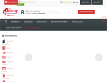 Tablet Screenshot of diruy.fr